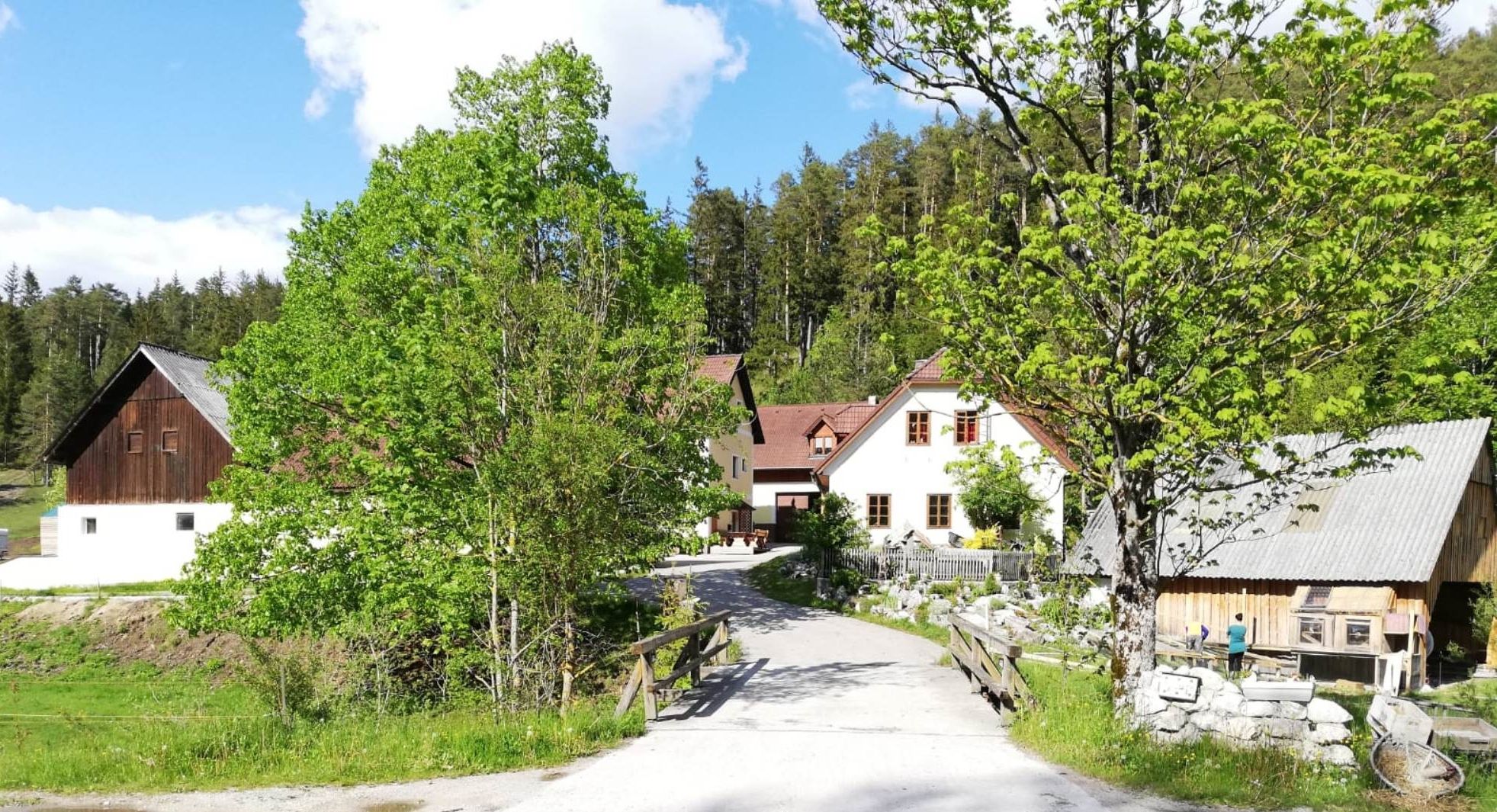A farm with several buildings, surrounded by trees and meadows, under a blue sky.