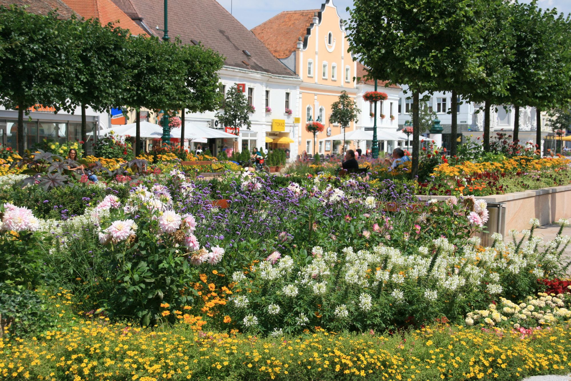 Flowerbeds and buildings on the main square in Tulln.