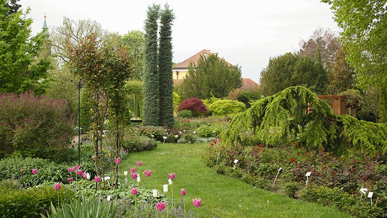 A well-tended garden with colorful flowers, tall trees and a building in the background.