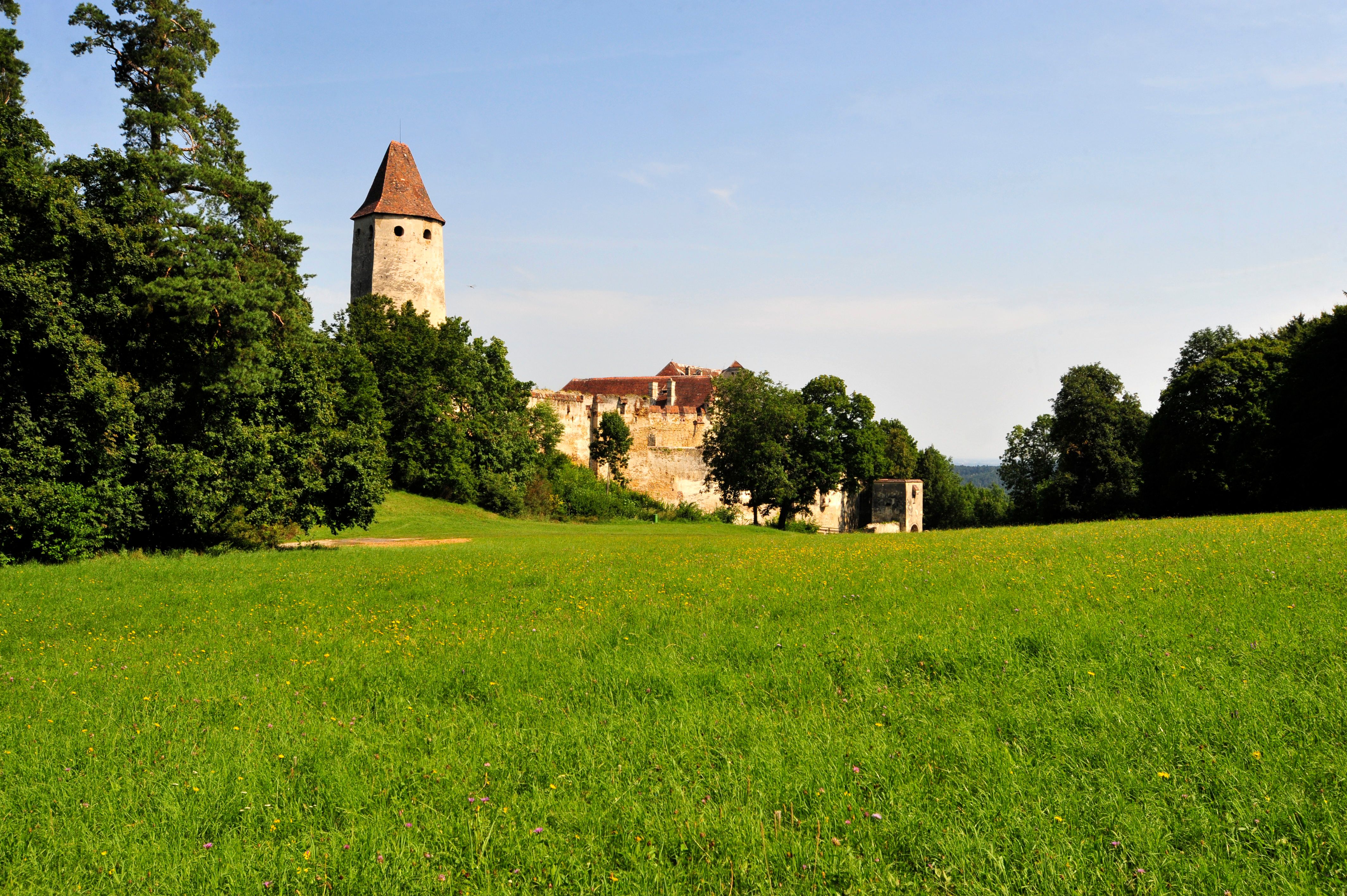 Seebenstein Castle with tower and green meadow in the foreground.