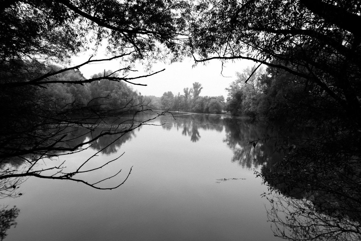 Black and white photo of a calm river surrounded by trees.