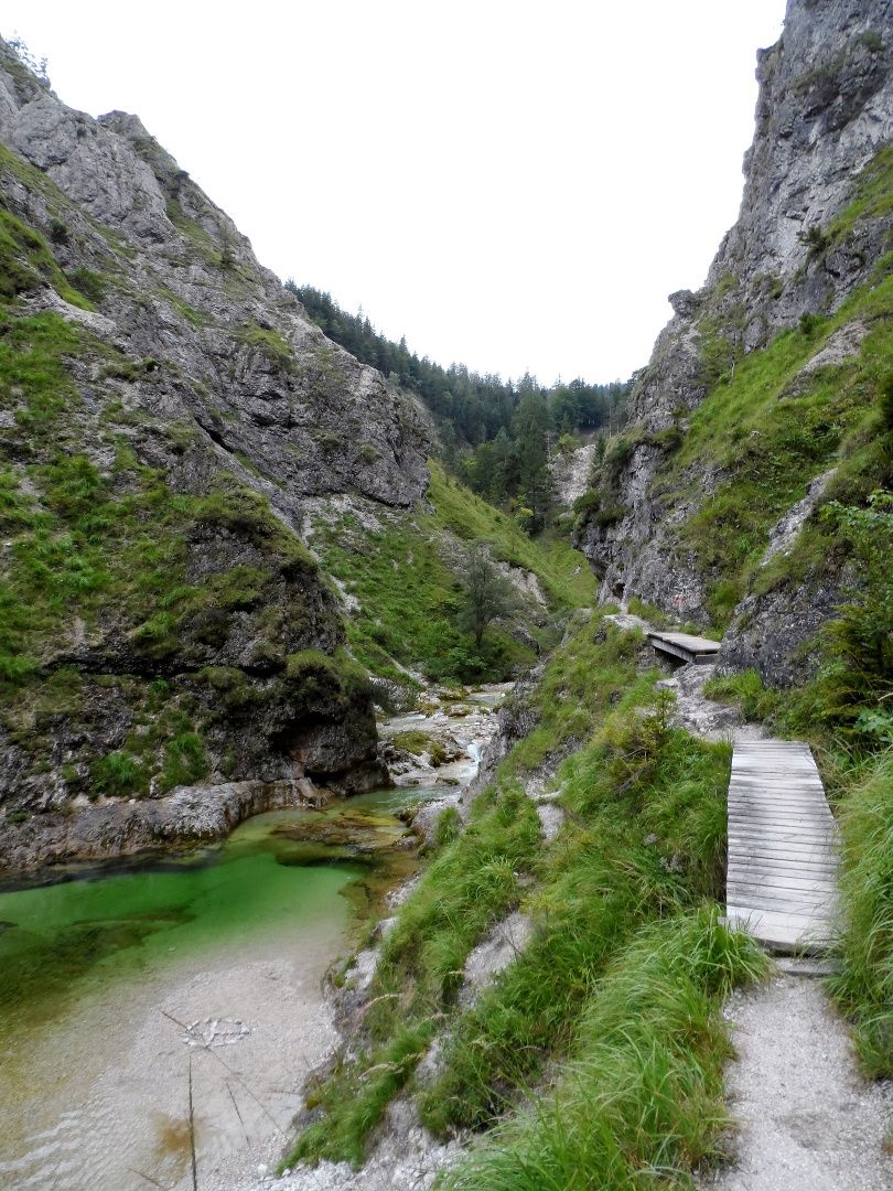 In the Ötschergräben