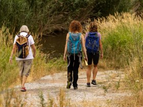 Ortsrunde Senftenberg, &copy; Wachau-Nibelungengau-Kremstal