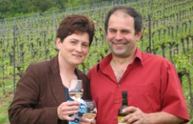 A man and a woman are standing in a vineyard holding wine glasses and a bottle of wine.