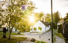 Rays of sunshine through trees in the Sitzendorf wine cellar lane.