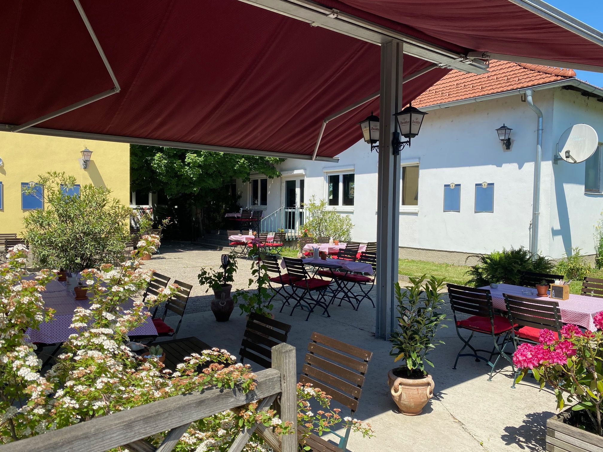 A sunny guest garden with wooden tables and chairs, surrounded by plants and flowers, under a red parasol.