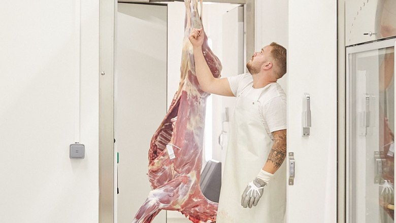 A man in a white apron and gloves inspects a large piece of meat in a cold room.