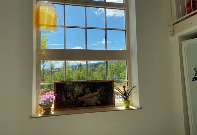 Windowsill with plants, painting and beer mug balloon in front of a large window with a view of trees and blue sky.