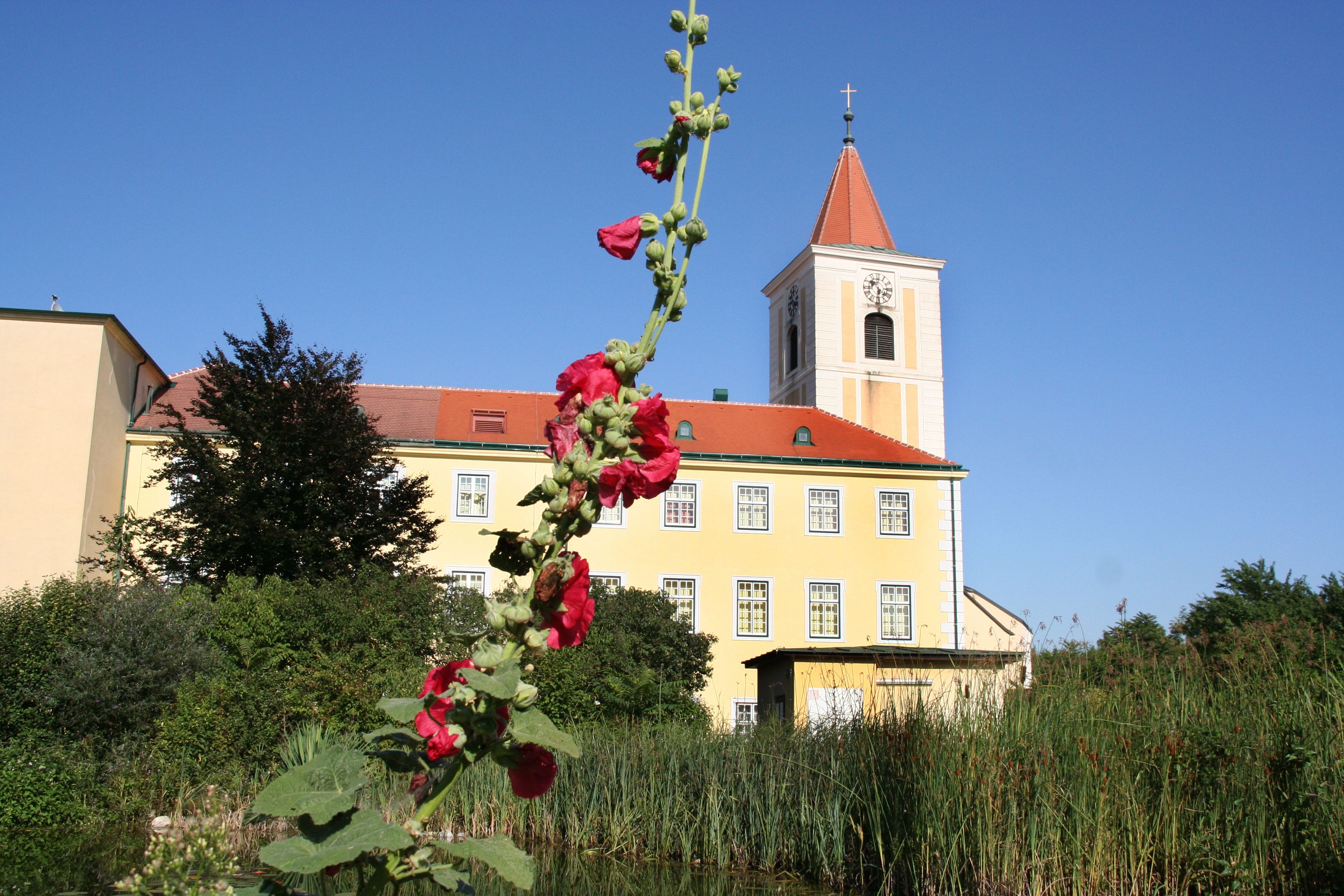 Church of St. Andrä with a red flower shoot in the foreground.
