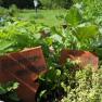 Herb garden, &copy; Familie Teufel