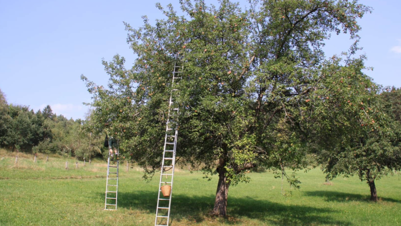 Farm sales Ertl family, © Familie Ertl