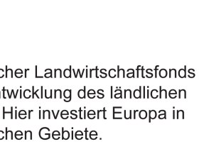 Auf zu den Kamelen! - Radeln f&uuml;r Kids St. Aegyd, &copy; Unknown