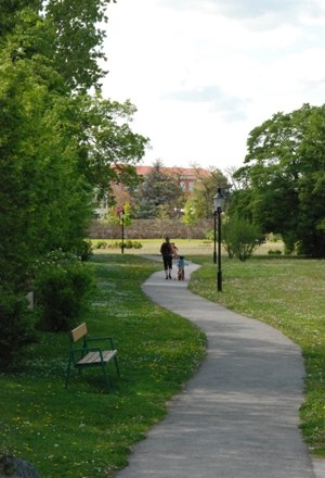 A winding path in a green park with trees and a bench. Two people are walking in the distance.