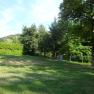 Green meadow with trees and hedges in the background, blue sky.