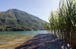 Modern house with a mountain in the background on a sunny day.