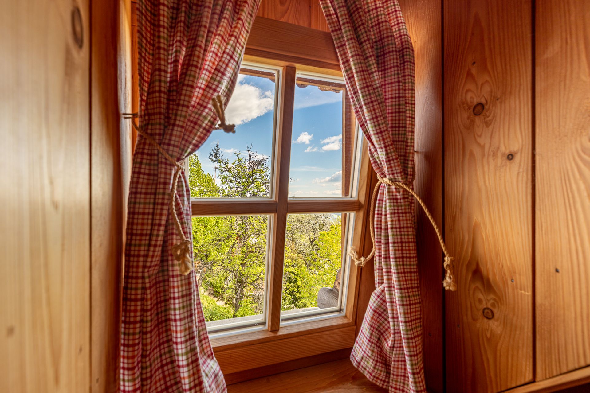 View from wooden window with red curtain onto trees under blue sky.