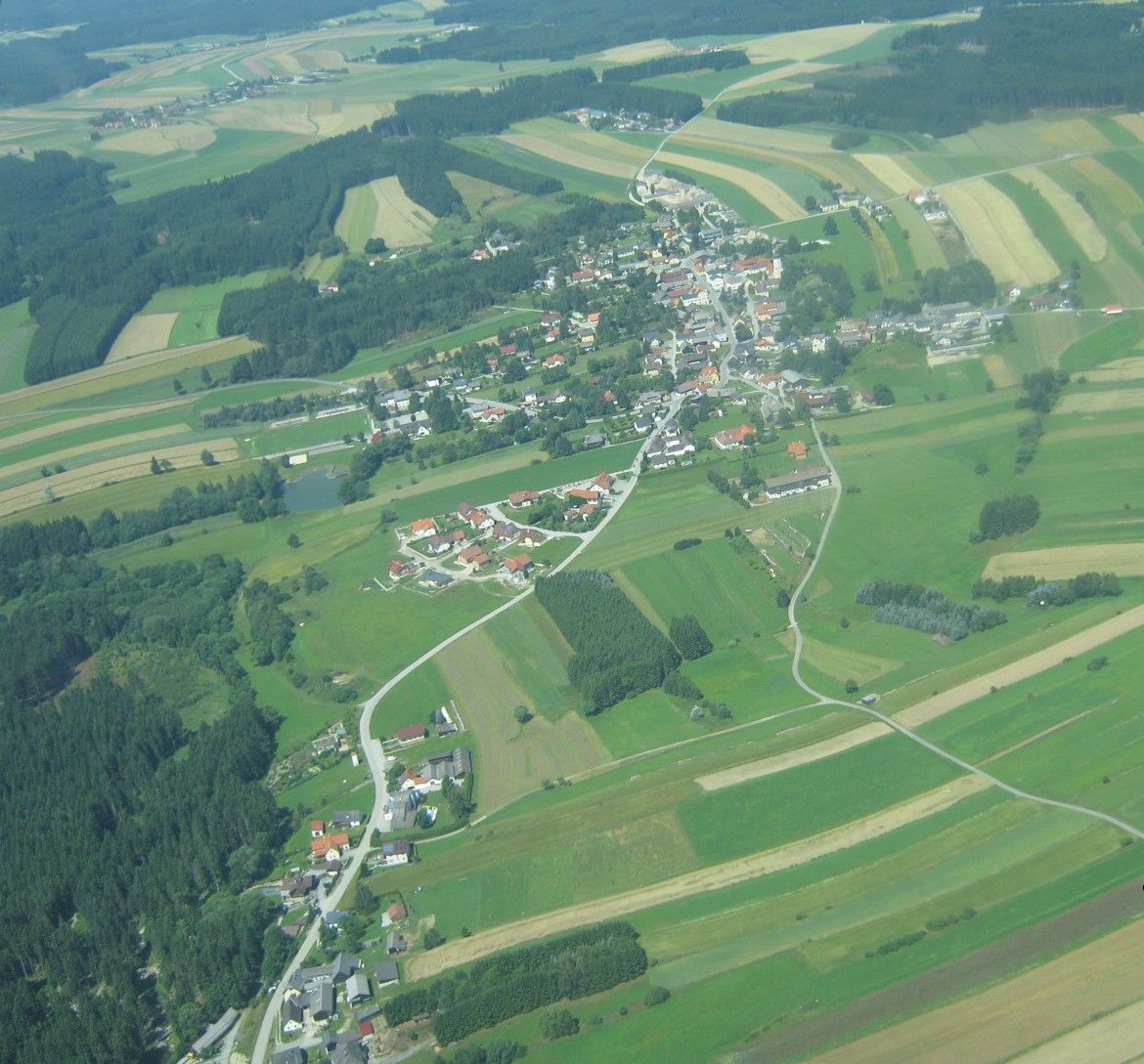 Aerial view of a rural village with fields and forests.