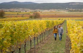Julia and Manuel Herzog, Herzog Winery, Brunngasse, Bad Vöslau, © Anna Herzog