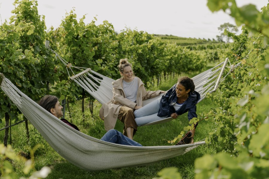 in the vineyard, © Julius Hirtzberger