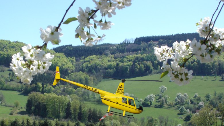 With Heli-Line to the pear tree blossom, &copy; Heli-Line