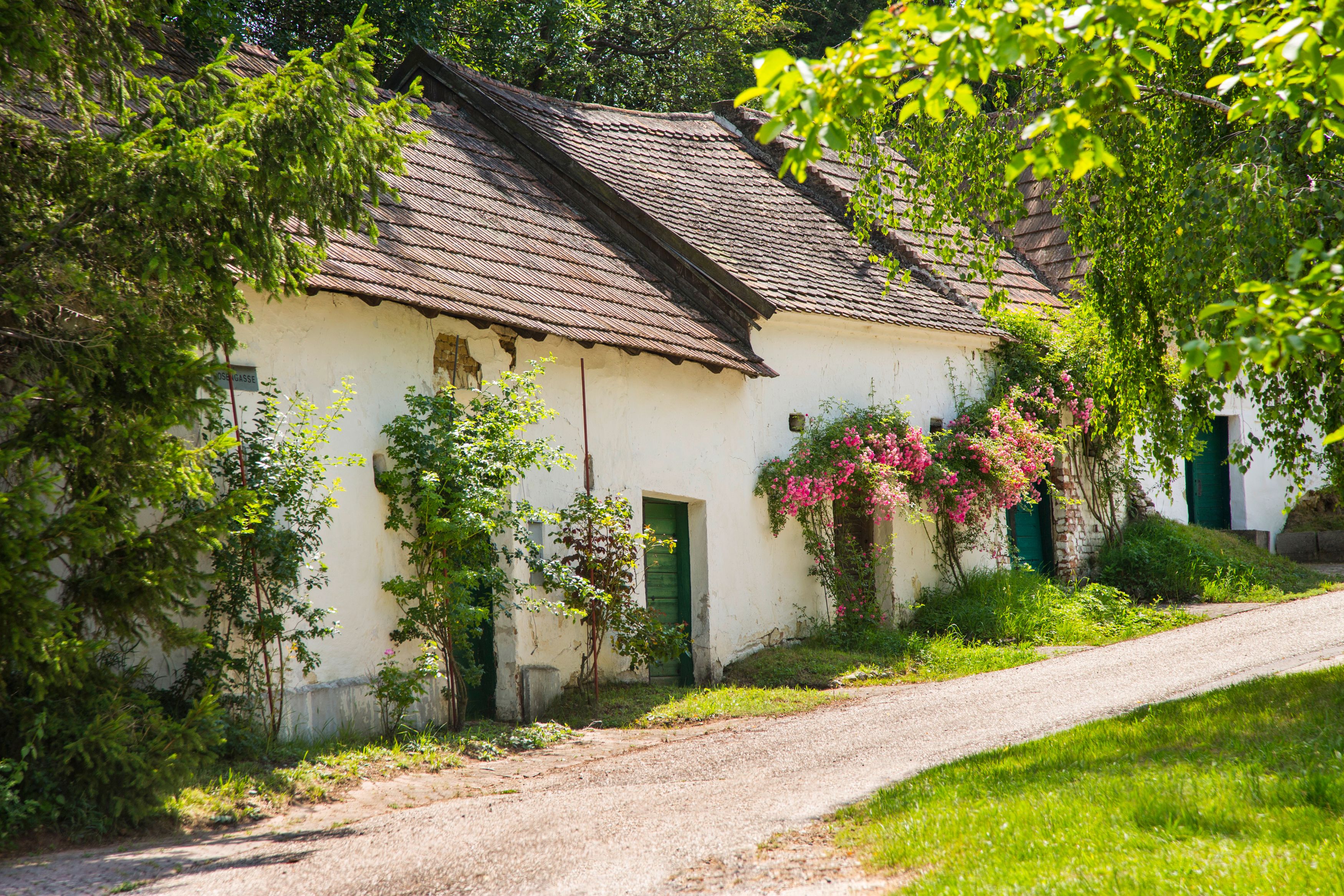 A picturesque alley with old, white houses and flowering plants.