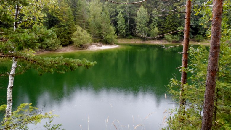 A green lake surrounded by trees and forest.