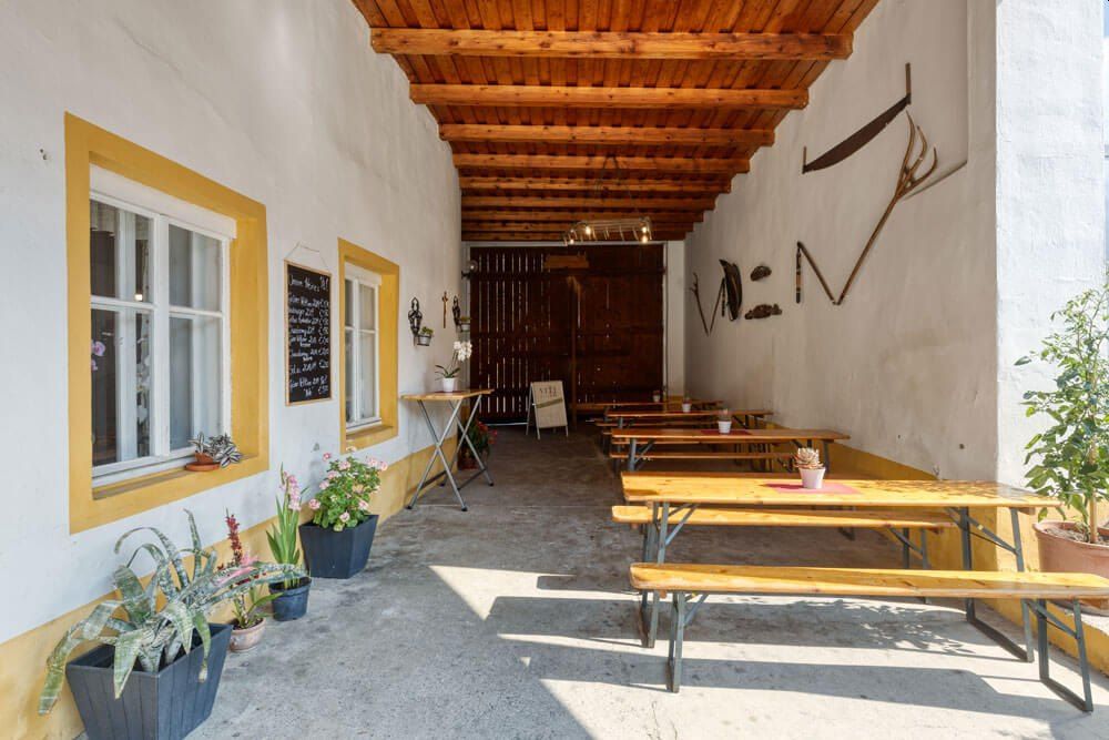 Inner courtyard of a wine tavern with wooden benches, plants and rustic decorations on the walls.
