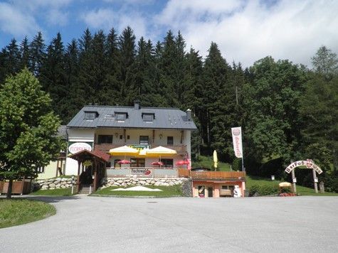 A restaurant with a terrace and parasols in front of a forest.