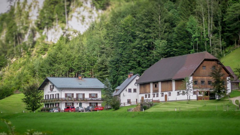 Two traditional farmhouses in a green, wooded landscape.