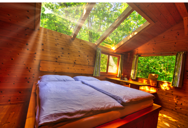 A cozy bedroom with wooden walls and a glass roof through which the sun's rays shine. A bed stands in the room, surrounded by green nature.