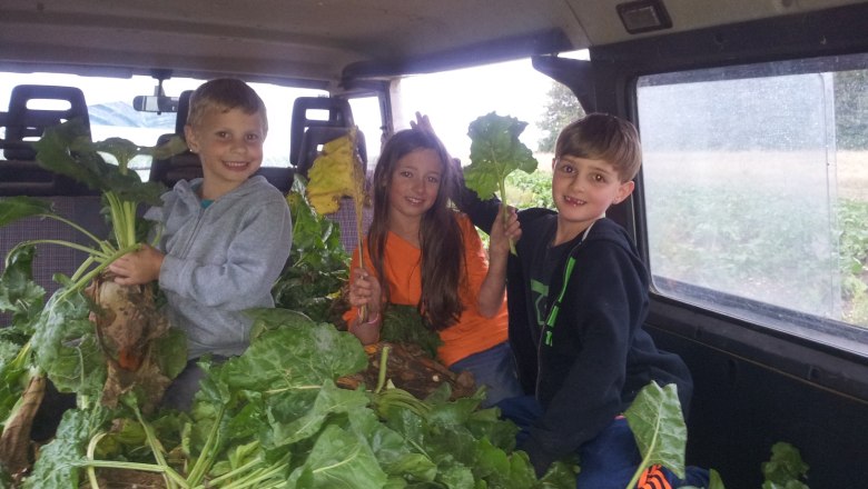 Harvesting vegetables yourself: they taste twice as good!, © Arkadenhof