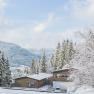 Beekeeping in a wintry landscape, © Fahrnberger Ludwig
