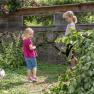 Stroking rabbits in the outdoor enclosure, © Einkehrhof Poggau