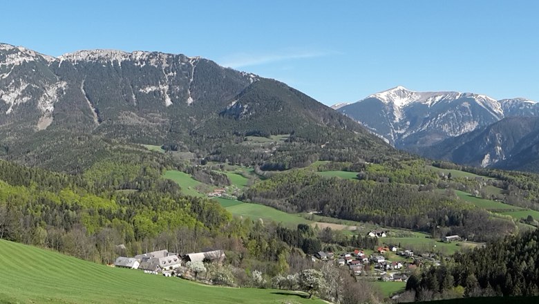 Panorama of a green landscape with mountains in the background.