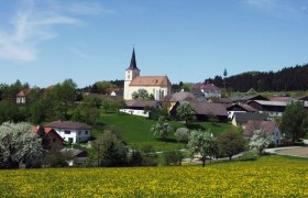 Landscape with church and village in the background, surrounded by blossoming trees and meadows.
