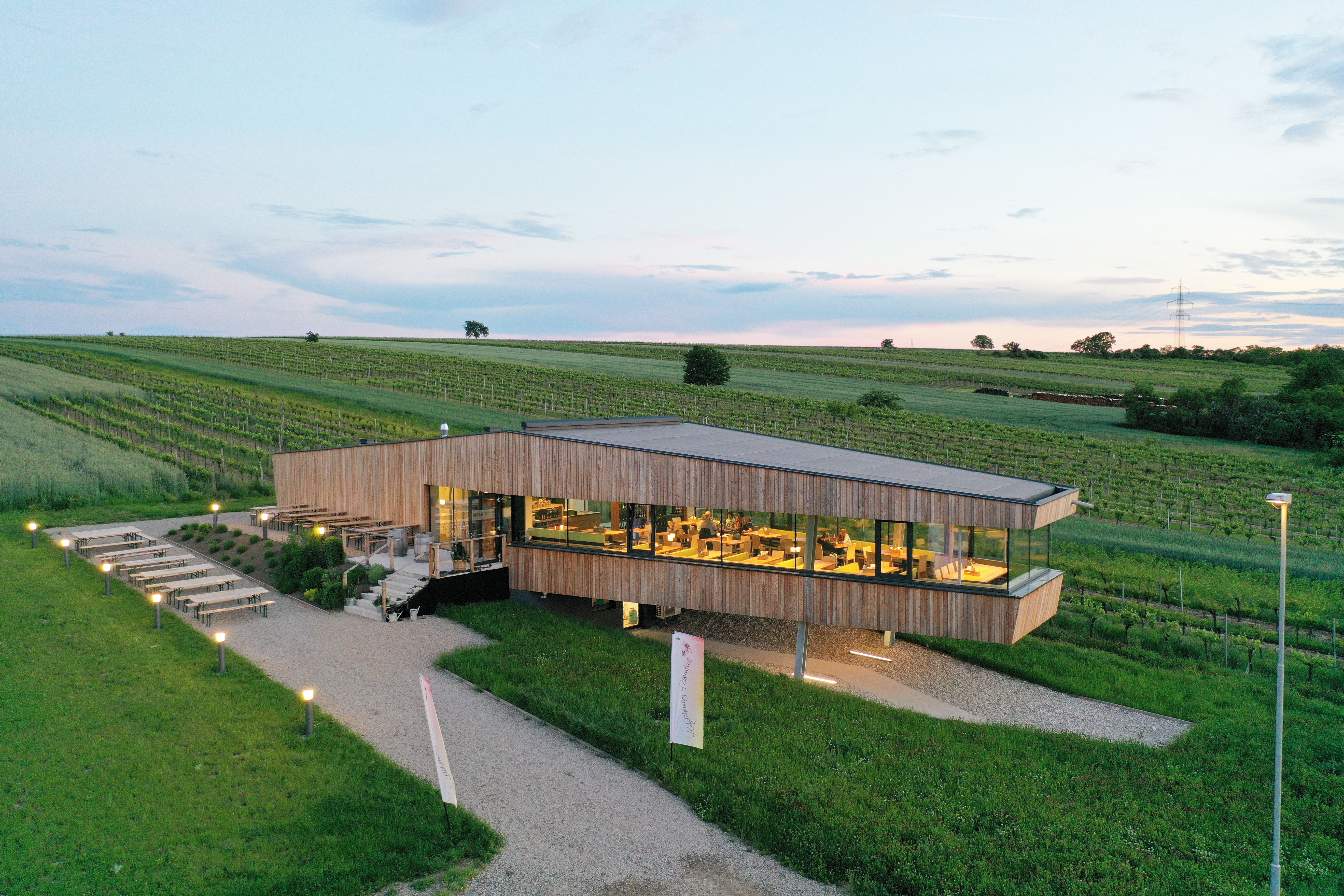 Modern building surrounded by vineyards at sunset.