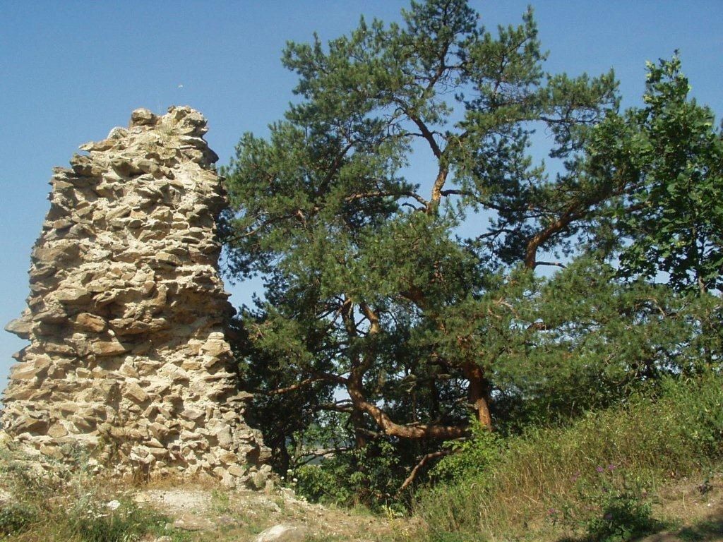 Buchenstein ruins 