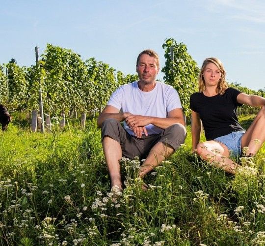 Two people are sitting in a meadow in front of a vineyard.