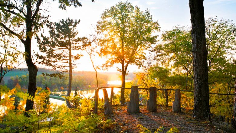 Sunset in Nexing Castle Park with trees and river.