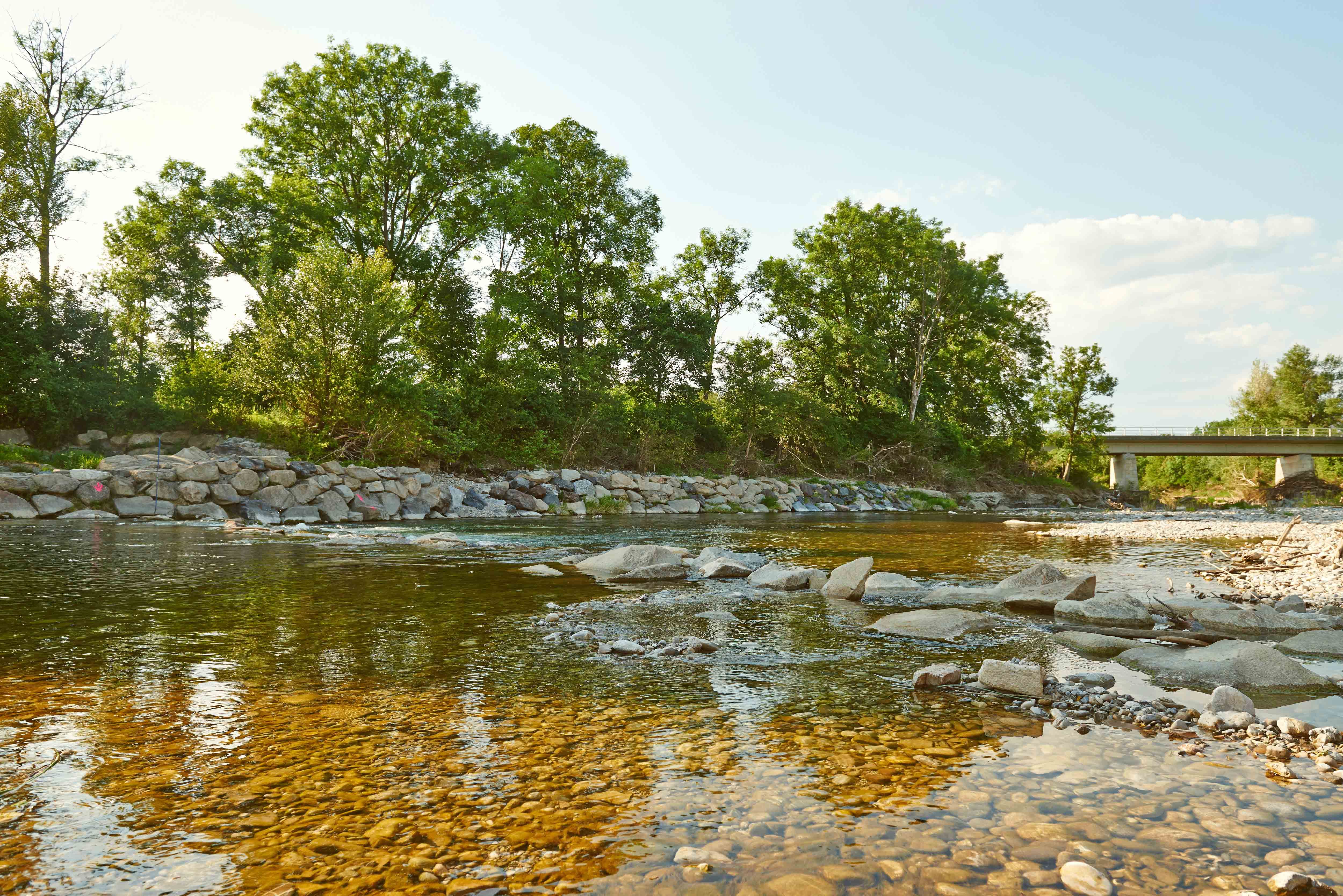 River with clear water, surrounded by trees and a bridge in the background.