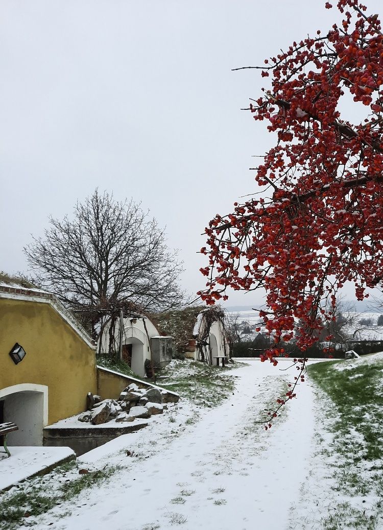 Edelstal cellar district in winter