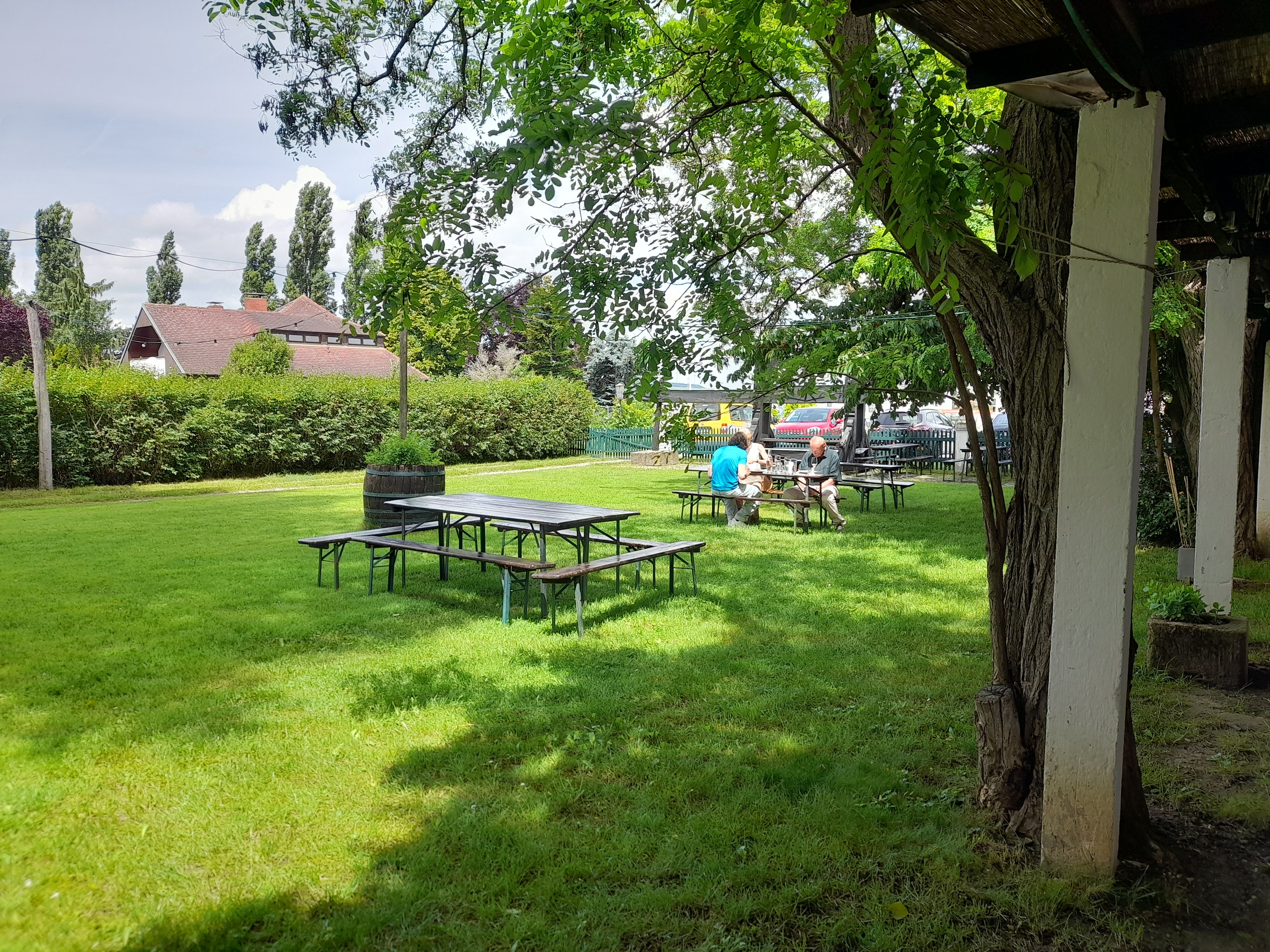 Green garden with wine tables 
