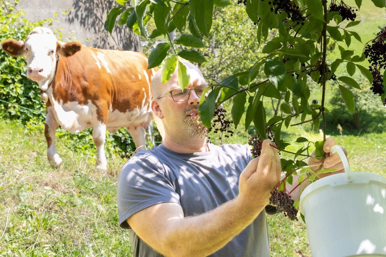 Organic farm Schlangenreith