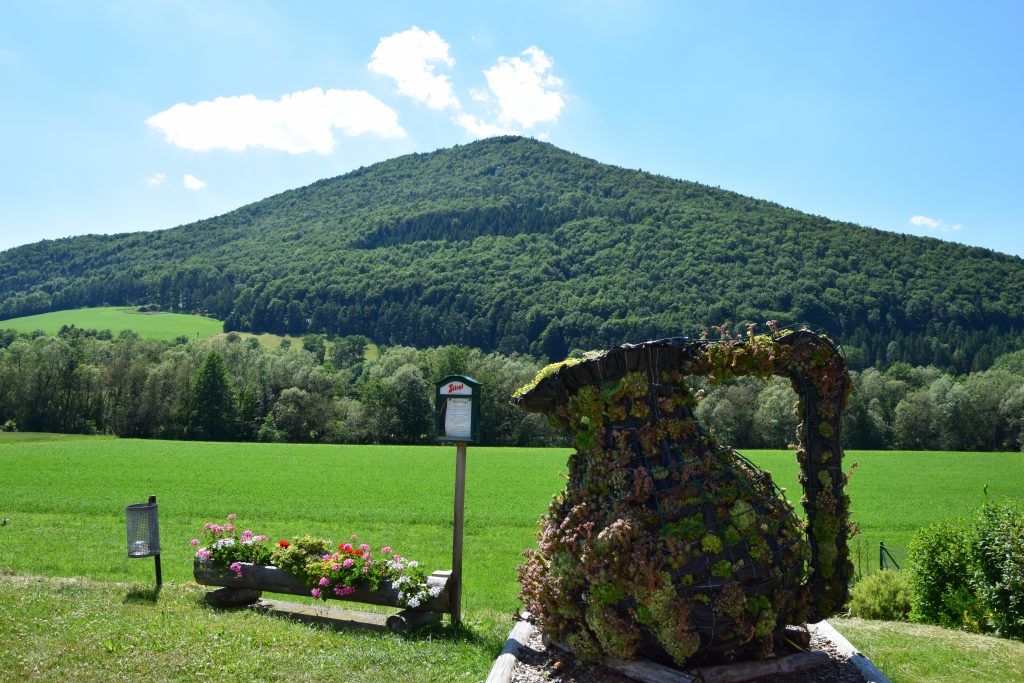 Green landscape with a wooded hill in the background and a planted sculpture in the foreground.