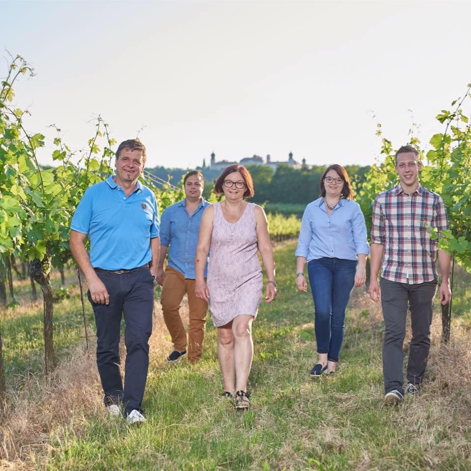 Five people smiling as they walk through a vineyard in sunny weather.