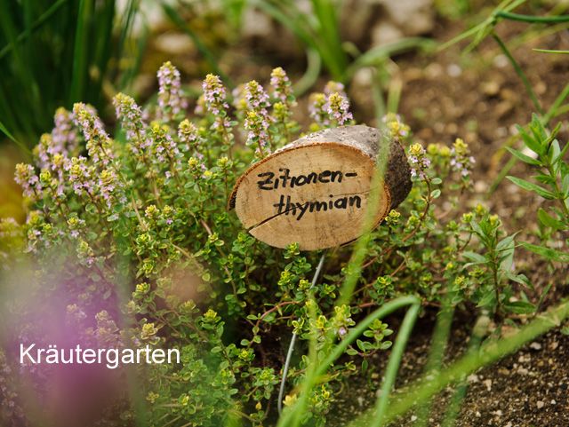 Herb garden Ferienstadl Hammerau