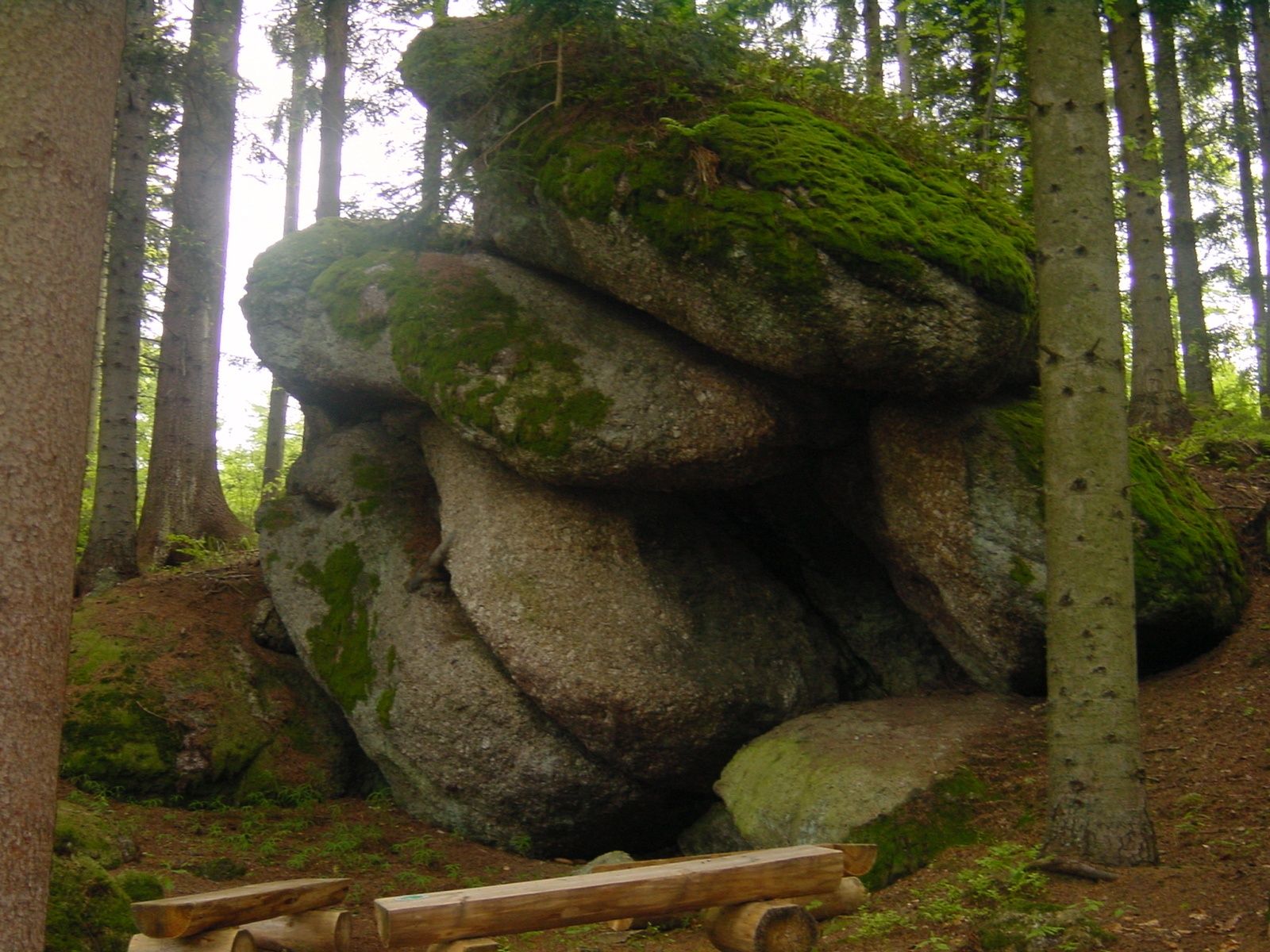 Stones on the dew path
