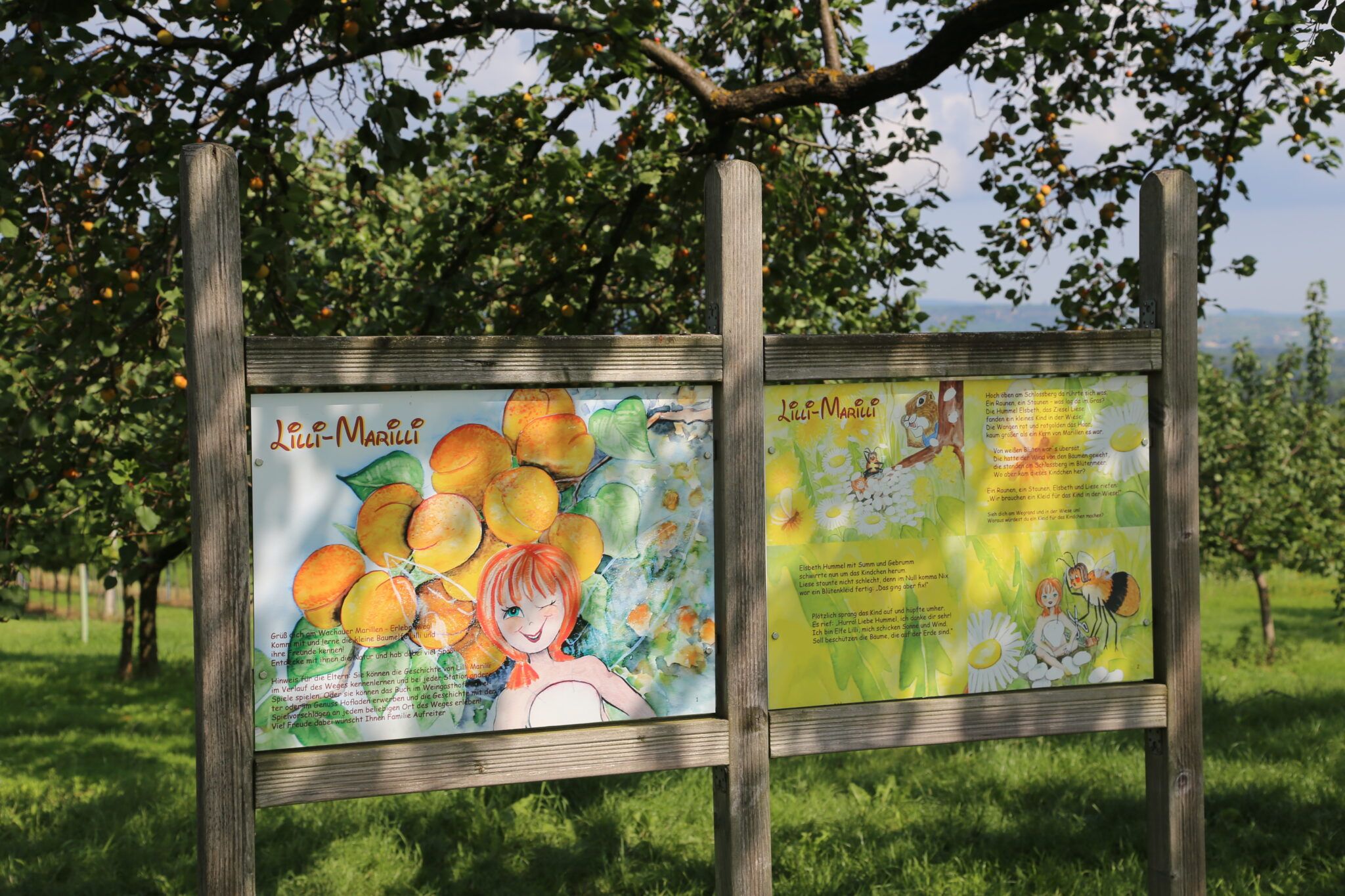 Signage in the apricot garden with illustrations of Lilli-Marilli and apricot fruits.
