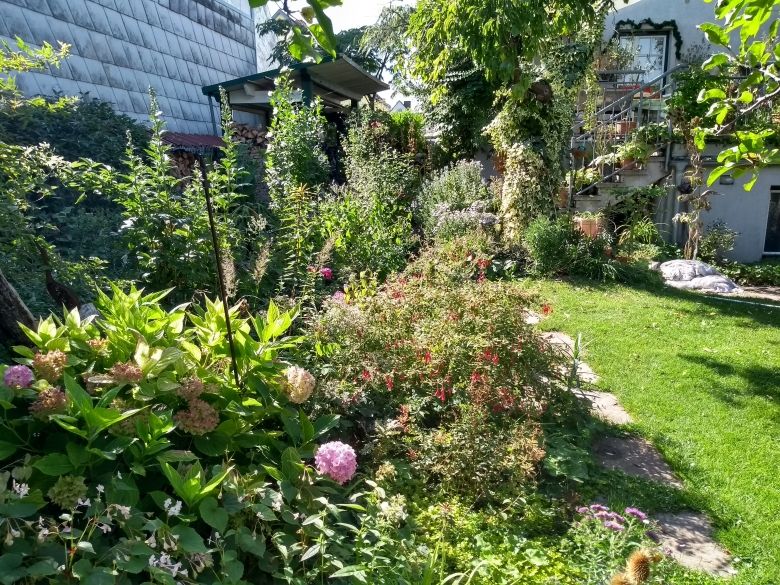 A lush garden with various plants and flowers, surrounded by a house with a staircase.