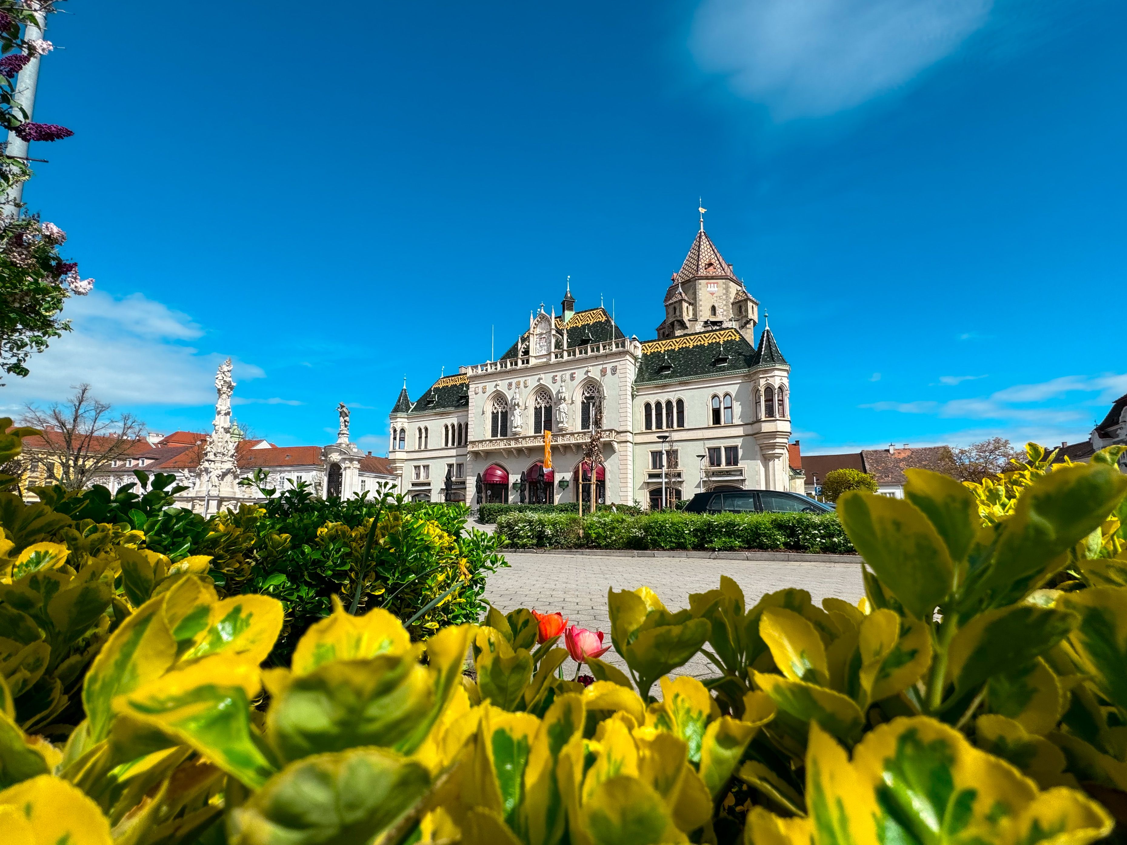 Korneuburg town hall with flowering plants in the foreground and a clear blue sky.